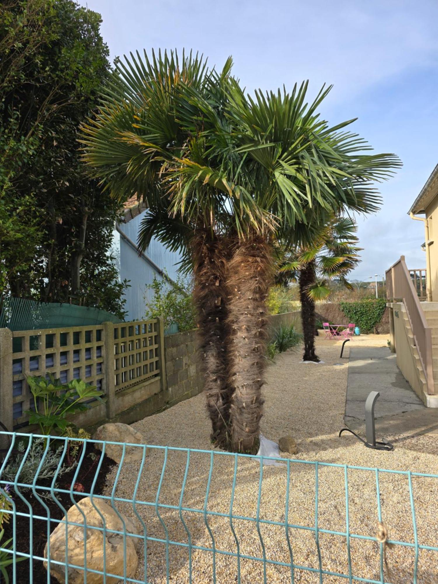 Hotel L'Ideal Le Mountbatten Arromanches-les-Bains Exterior foto